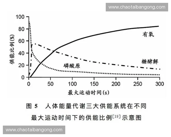 基于运动体能研究的多维度评价体系构建与科学训练效能提升路径探索