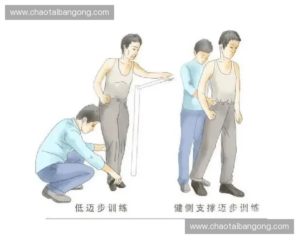 基于训练科学的运动表现优化与个体化训练方案研究