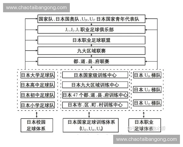 国家队体系建设与发展路径探索：从青训到职业联赛的全方位布局