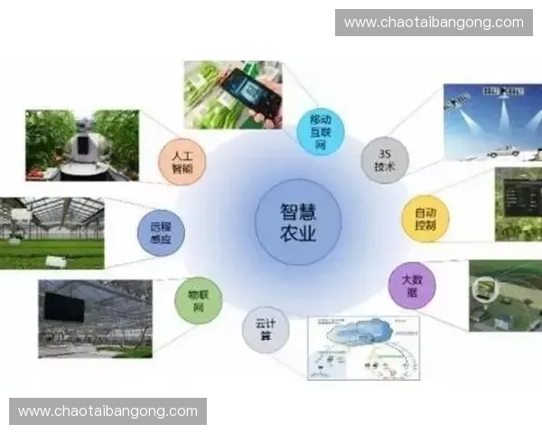 体育科技创新驱动下的智慧训练与产业升级新路径探索模式发展研究